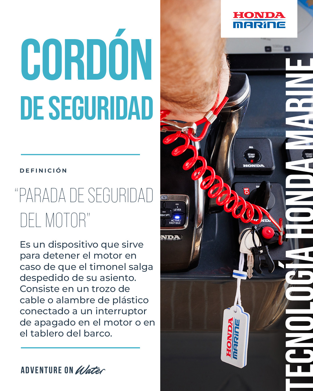 Cord&oacute;n de seguridad